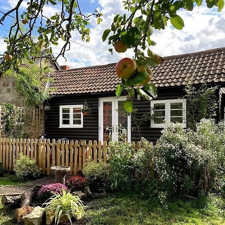 Cosy Studio Retreat In Wells, Somerset Buitenkant foto